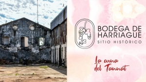 Centro Cultural Bodega Harriague recupera la historia del tannat