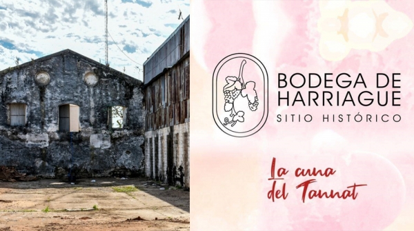 Centro Cultural Bodega Harriague recupera la historia del tannat