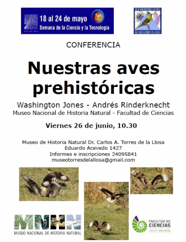 Conferencia en el Museo Torres de la Llosa