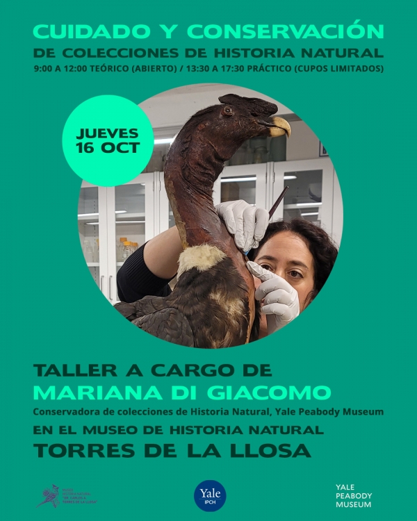 Taller: Cuidado y conservaci&oacute;n de colecciones de Historia Natural
