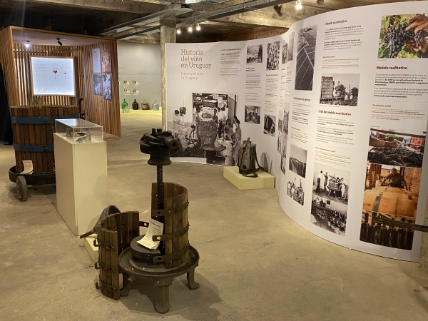 Museo de la Uva y el Vino