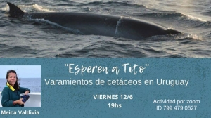 Esperen  a Tito, charla sobre varamientos de cetáceos en Uruguay