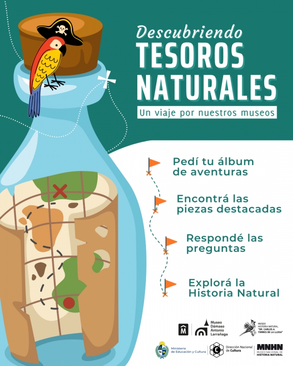 &ldquo;Descubriendo tesoros naturales&rdquo;: tres museos invitan a una aventura interactiva