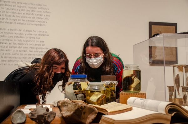 Museo Nacional de Historia Natural