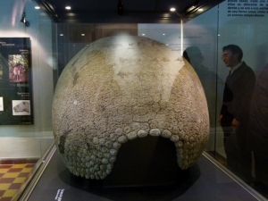 Sala de Exposici&oacute;n del Museo Alejandro Berro