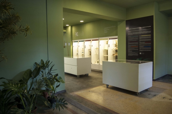 Museo del Cannabis Montevideo reinaugura con nueva exposici&oacute;n