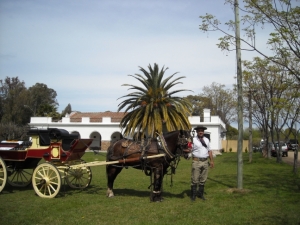 Museo del Dr. El&iacute;as Regules