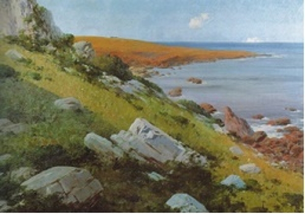 Punta Colorada