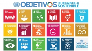 Los museos y la sostenibilidad como modelo de gesti&oacute;n. Actuar hoy pensando en ma&ntilde;ana.