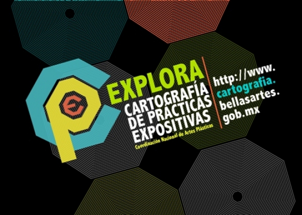 Cartograf&iacute;a de Pr&aacute;cticas Expositivas. Una propuesta de sistematizaci&oacute;n y documentaci&oacute;n de exposiciones