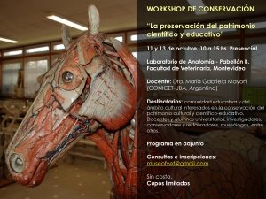 La preservaci&oacute;n del patrimonio cient&iacute;fico y educativo. Workshop de Conservaci&oacute;n