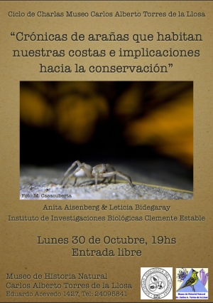 Cr&oacute;nicas de ara&ntilde;as que habitan nuestras costas e implicaciones hacia la conservaci&oacute;n