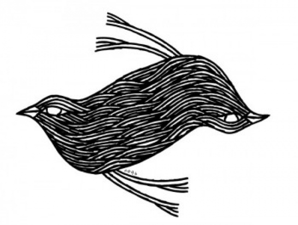 El MNAV se llena de bichos maravillosos