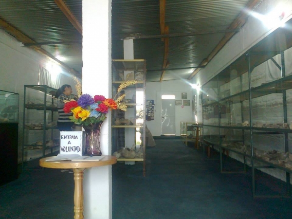 Museo Paleontológico de Dolores